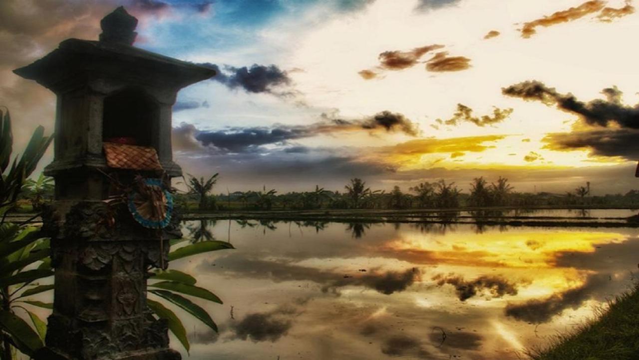 Pnb Bali Villas Чангу Екстер'єр фото